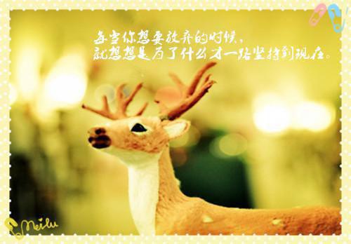 汪国真青春励志诗歌
