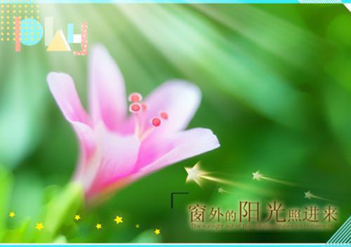 被前妻毁尽心血后，我转身去了对手公司最新章节_被前妻毁尽心血后，我转身去了对手公司全文免费阅读