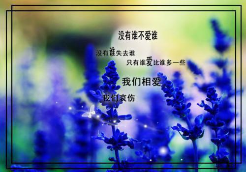 夏依依厉腾最新章节_夏依依厉腾全文免费阅读