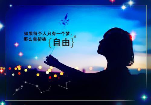 定格装的（秦添蒋阮）全文免费阅读无弹窗大结局_（秦添蒋阮）免费阅读无弹窗最新章节列表（定格装的）