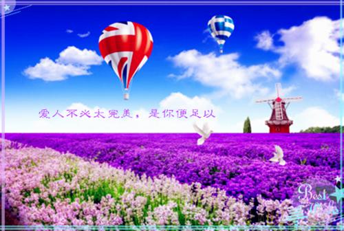 水花忽视(结局) 韩涵小魏免费阅读全文