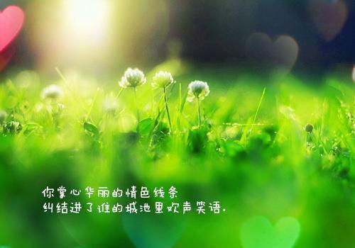 瑜真传最新章节_瑜真传全文免费阅读