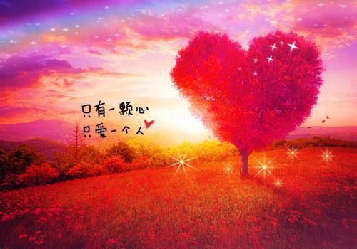 寓言故事阮裕焚车寓意大道理