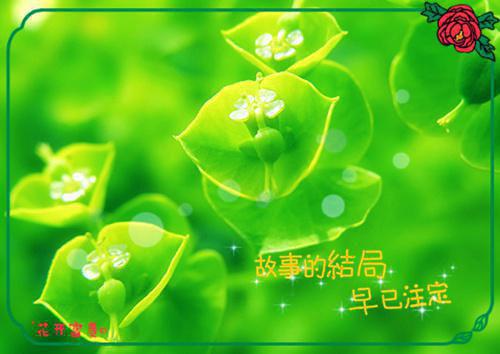 贺宴章林意晴全文免费阅读_骚话翻滚(贺宴章林意晴)