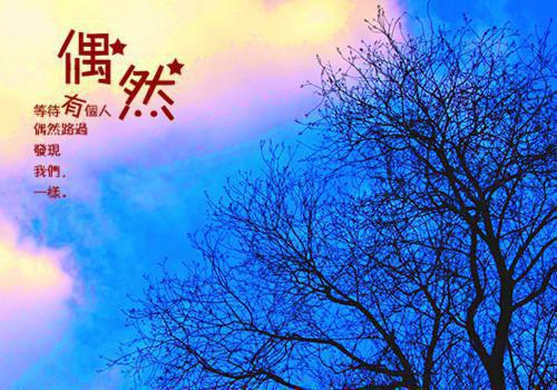名人努力后成功的故事
