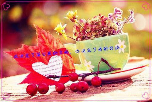 (热推新书)《沈靳白芝芝》星圈甜真-抖音热推星圈甜真无弹窗阅读最新章节列表