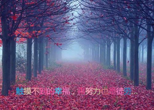 感人的爱情故事ppt素材
