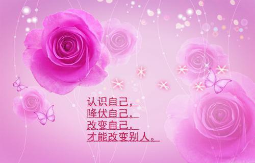 职业人生励志的文章精选