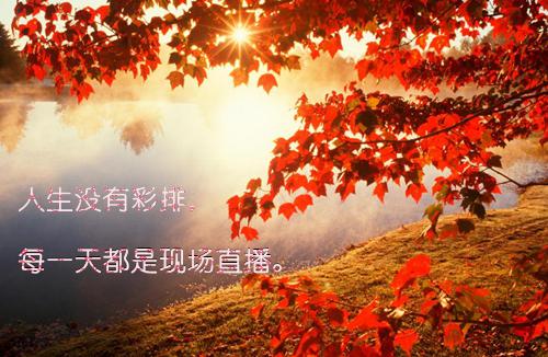 世界经典励志书籍排行榜