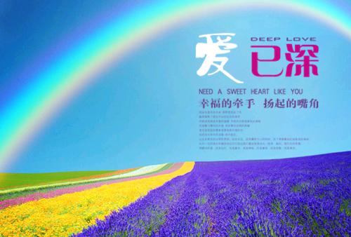 风险管理个人简历表格