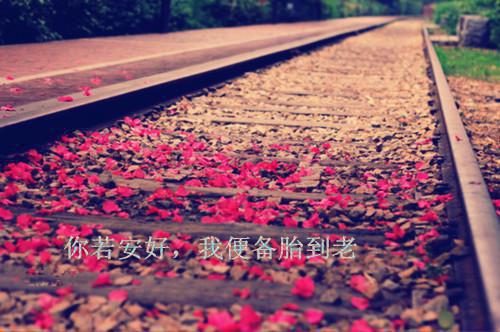 儿童睡前故事集
