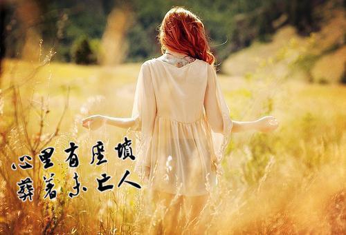 从挫折走向成功的感慨