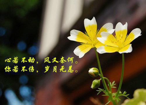 行政管理毕业个人简历范文