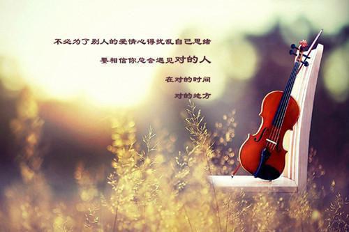 她与流星同坠：全文+后续（江云乔迟音）最新章节列表_她与流星同坠：全文+后续（江云乔迟音）全文+后续在线阅读