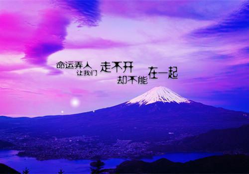提高视野的书籍