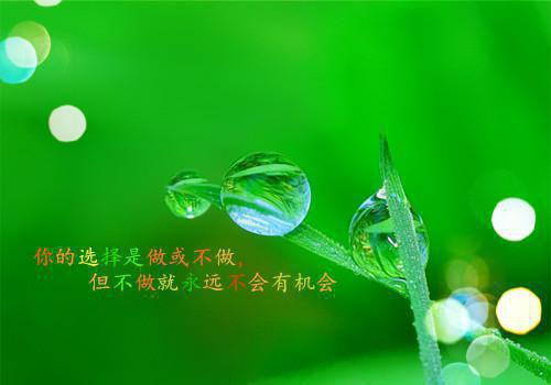 江蕙兰邵衡云（江蕙兰邵衡云）全文免费阅读无弹窗大结局_(江蕙兰邵衡云)最新章节列表(江蕙兰邵衡云)