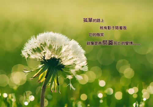 全文浏览我死后的第二年，妻子让我为白月光顶罪完结文（宇城白月光）_我死后的第二年，妻子让我为白月光顶罪完结文（宇城白月光）全文结局