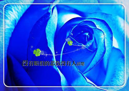 陈清雾孟凌然全文免费阅读_（陈清雾孟凌然免费阅读无弹窗）陈清雾孟凌然最新章节列表（陈清雾孟凌然）