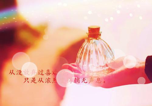 最新会计专业毕业生个人简历范文