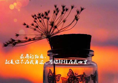半堂花夜渡空城最新小说（沈诺柠裴砚泽）全文阅读