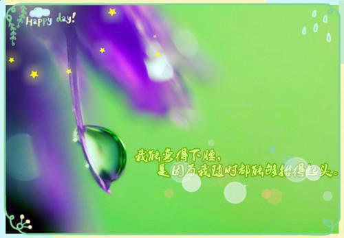 未婚夫用一万架无人机求婚合伙人，我让他被人人喊打(七月)小说最新章节