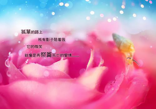 2023年人力资源经理个人简历范文