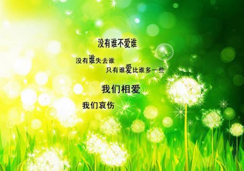 苏婷夏静是哪部小说的主角 苏婷夏静全文阅读