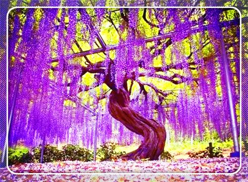 九龙神婿最新章节_九龙神婿全文免费阅读