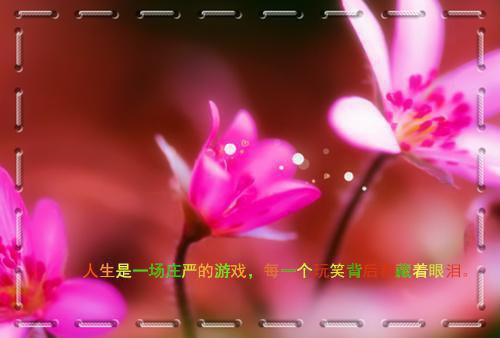 历经挫折最终取得成功的事例励志