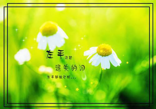 鹿的成语故事