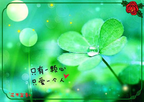 qq励志日志大全：有的人，宁愿骄傲的沉默，也不愿委屈的诉说