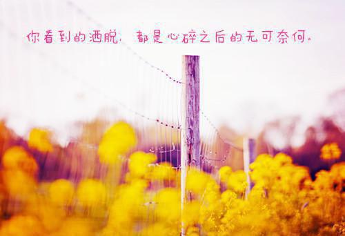 声像管理员个人求职简历范文
