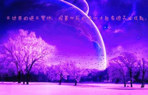 今天开始心动吧：结局+番外（苏清瑜陆辞澜）小说免费阅读无弹窗大结局_今天开始心动吧：结局+番外最新章节
