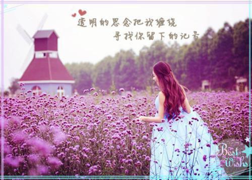 每个人都要为自己的任性买单