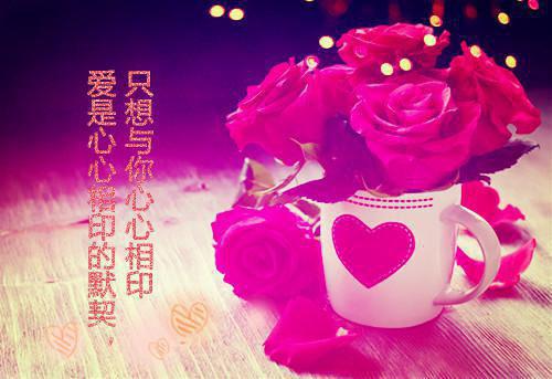 小童话故事大全