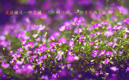 伤风败俗成语故事