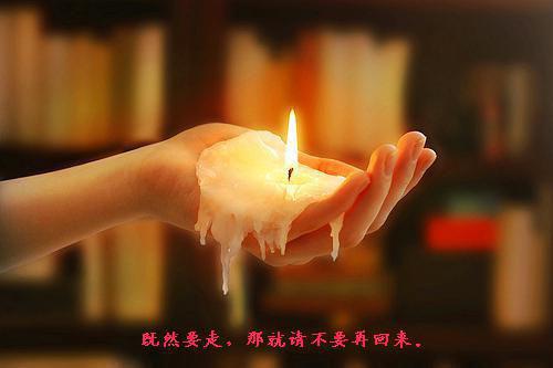 人气小说你在我对岸小说夏添创在线阅读-正版小说《你在我对岸小说》夏添全文阅读