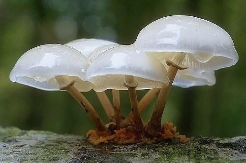 娇娘有空间：种田宠夫忙赚钱最新章节_娇娘有空间：种田宠夫忙赚钱全文免费阅读