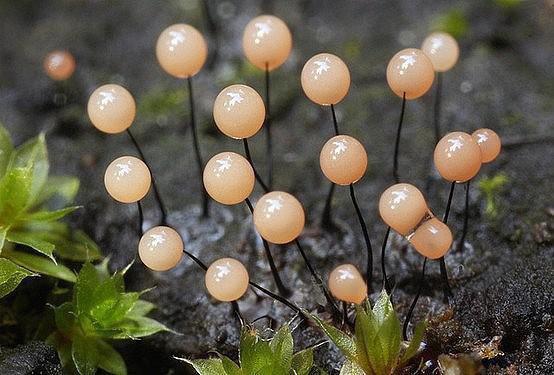 个人简历样板范文