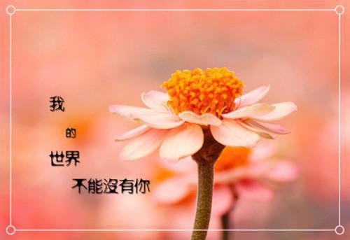 古人亲情的故事