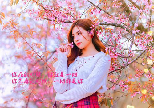 小伙被拜金女抛弃后天降十个亿（沈枫江诗雨）全文免费阅读无弹窗大结局_(小伙被拜金女抛弃后天降十个亿免费阅读全文大结局)最新章节列表（沈枫江诗雨）