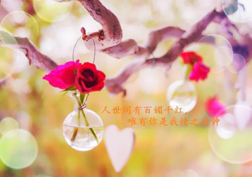 孤岛千层小说全文免费阅读(秦逾裴厌安圆周舟宋言心）小说全文免费秦逾裴厌安圆周舟宋言心读无弹窗大结局_（秦逾裴厌安圆周舟宋言心）孤岛千层小说小说全文免费秦逾裴厌安圆周舟宋言心读最新章节列表（秦逾裴厌安圆周舟宋言心）