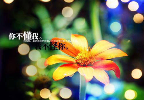 成功的理解