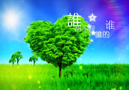 钳工求职简历表格