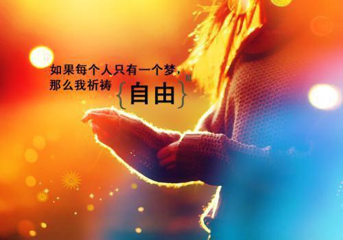 谢白石苏云川最新章节_谢白石苏云川全文免费阅读