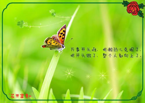 自编动物的童话故事200字