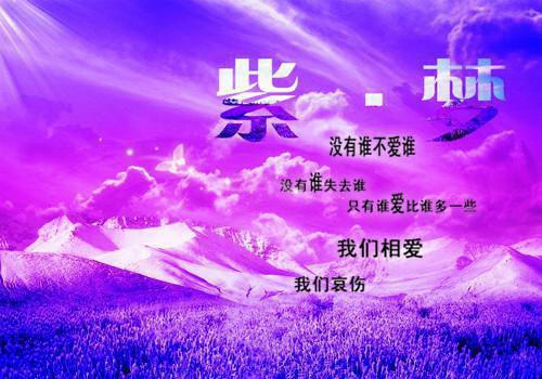 物理专业个人简历表格