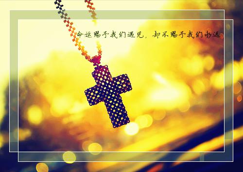 小学生必读的好书有哪些