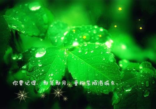 千金别小看知乎全文全文阅读_周若溪周可小说免费试读