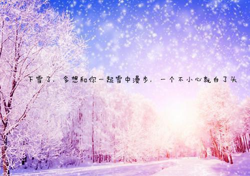 往昔凤泣血，今朝龙悲吟：全文阅读龙啸完本在线小说免费阅读
